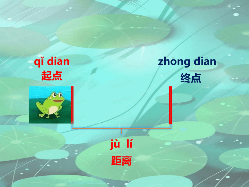 教科（2017秋）版科学一年级上册2.2 起点和终点 课件（11张ppt)