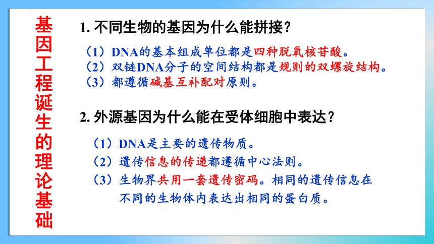 3.1 重组DNA技术的基本工具课件(共32张PPT1份视频)-2023-2024学年高二下学期生物人教版选择性必修三