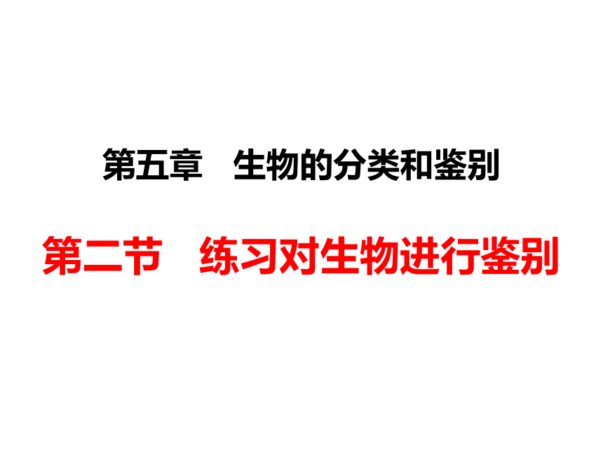 1.5.2练习对生物进行鉴别课件(共17张PPT)2021--2022学年冀少版七年级上册生物