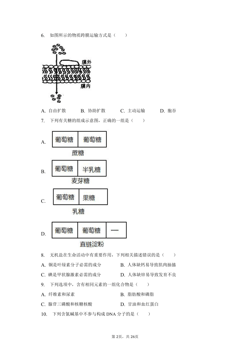 2022-2023学年湖南省株洲市炎陵县高一（下）期中生物试卷（有解析）