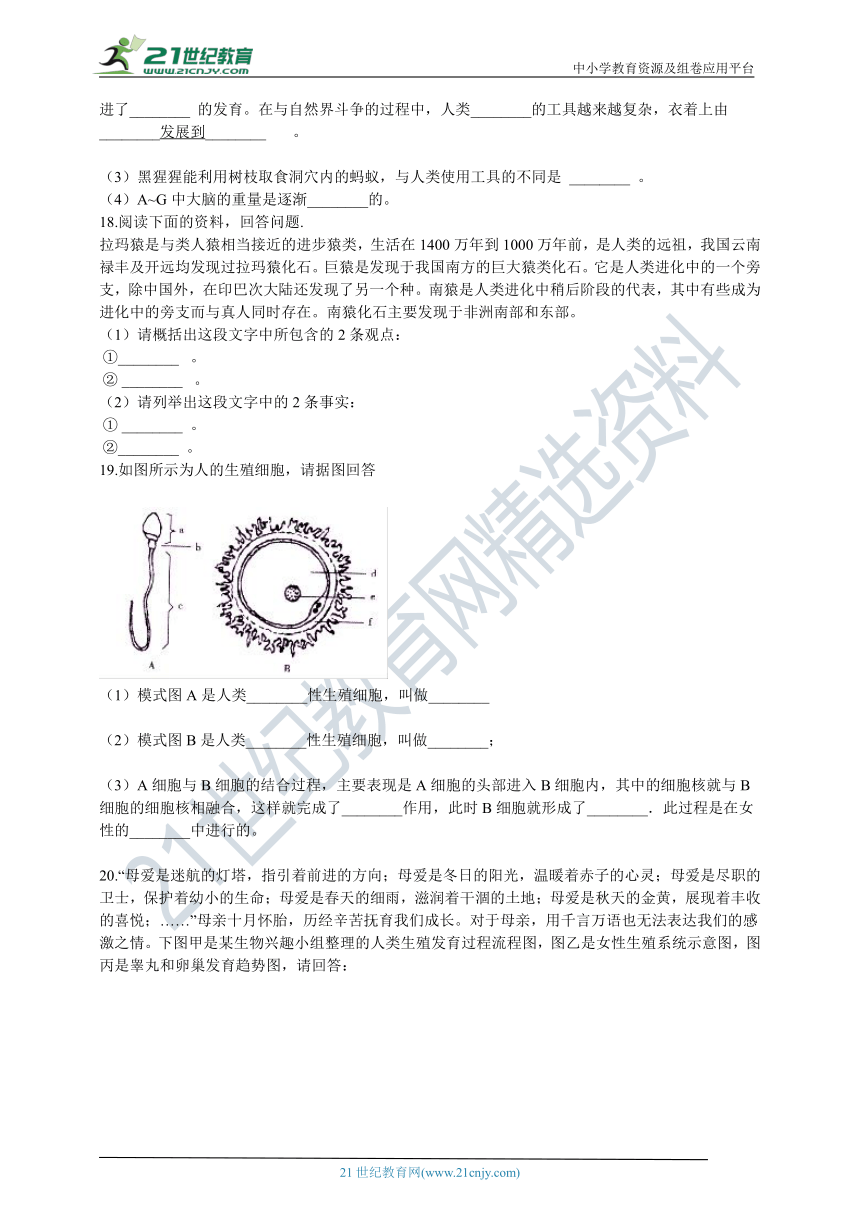 人教版2021初中生物七年级下册4.1人的由来 章末检测（含解析）