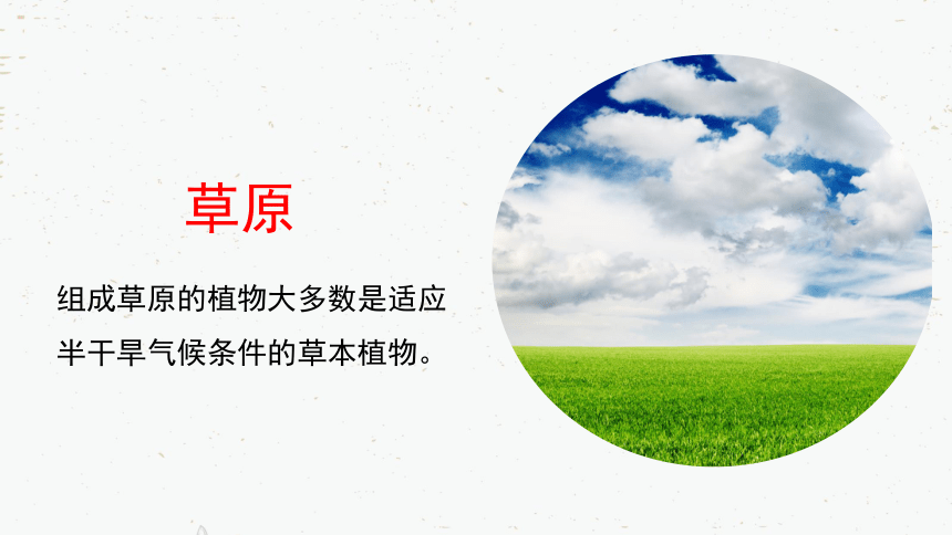 人教版2022-2023学年七年级生物上册3.6 爱护植被，绿化祖国-同步精品课件(共26张PPT)