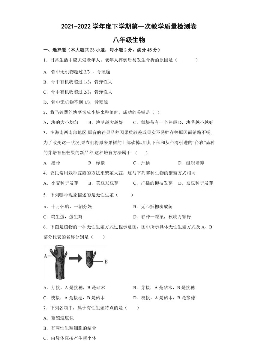 安徽省滁州市定远县九梓学校2021-2022学年下学期八年级生物第一次教学质量检测卷（word版 含答案）