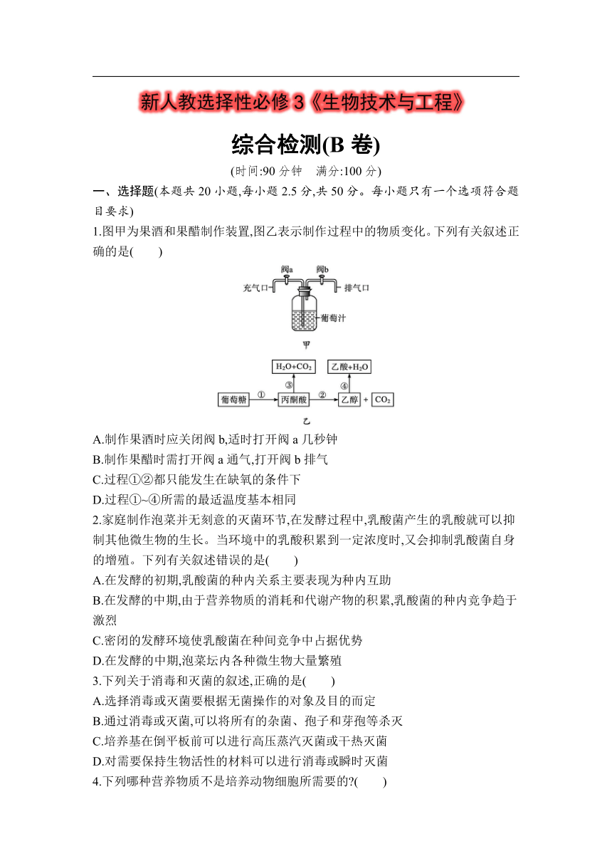 人教版（2019）选择性必修3《生物技术与工程》综合检测(B卷)（学生版含答案详解）
