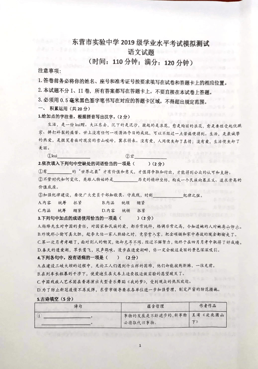 2023年山东省东营市实验中学5月中考模拟语文试题（pdf版无答案）