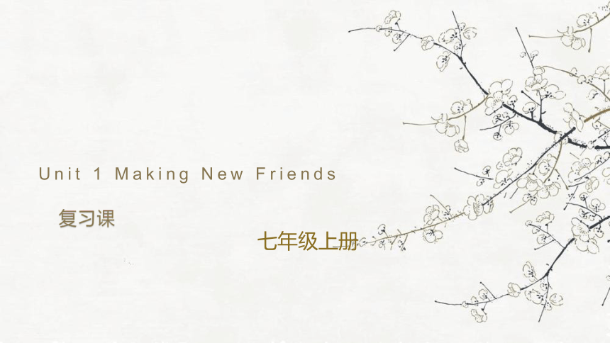 Unit 1 Making New Friends复习课课件(共29张PPT)