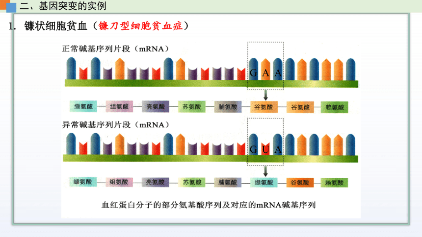 高中生物新苏教版必修二3.2 基因突变和基因重组 课件 (共37张PPT)