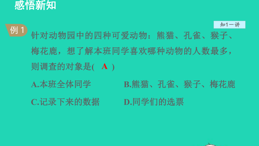 18.1 统计的初步认识(共38张PPT)冀教版八年级数学下册授课课件