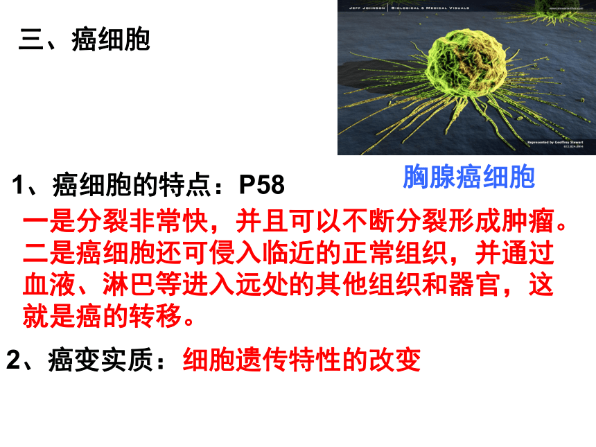 2021-2022学年人教版七年级生物上册第二单元第二章细胞怎样构成生物体复习课件(共46张PPT)