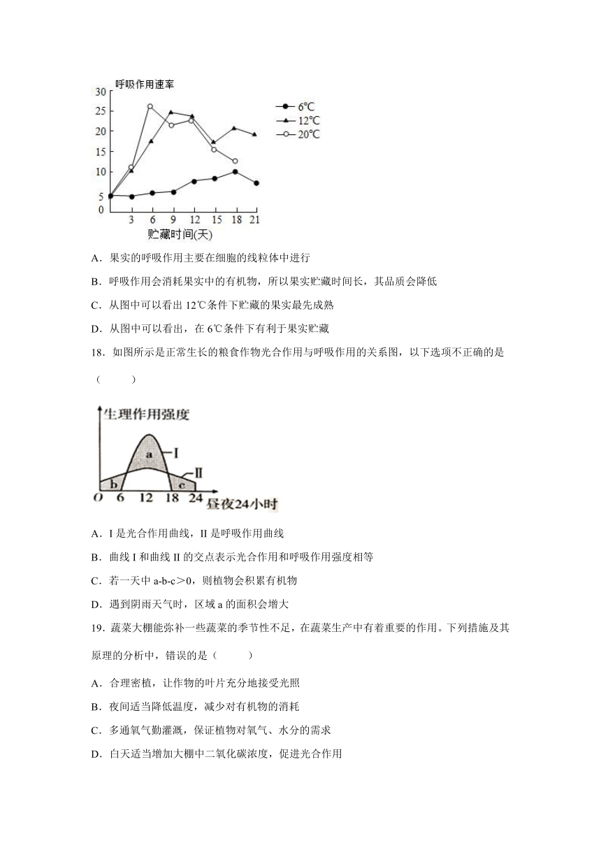 山东省潍坊市诸城市2022-2023学年七年级上学期期中生物试题（含解析）