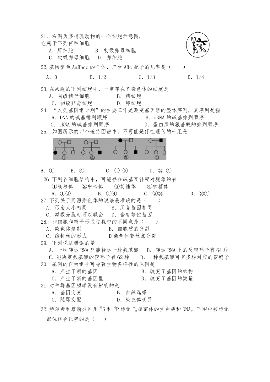 吉林省吉林市江城中学2020-2021学年高一下学期期末考试生物试题 Word版含答案