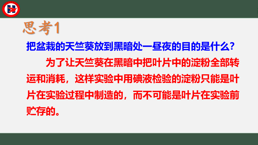 第三单元第四章绿色植物是生物圈中有机物的制造者课件(共36张PPT)2021-2022学年人教版七年级生物上册