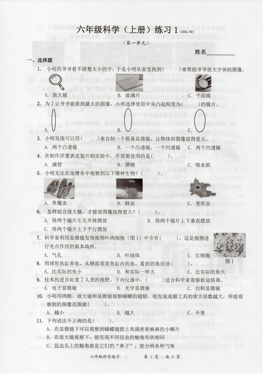 广东省深圳市罗湖区2022-2023学年科学六年级上册第一单元 微小世界 练习卷（PDF版，无答案）