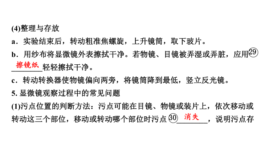 2.1  细胞是生命活动的基本单位期末复习课件(共44张PPT)