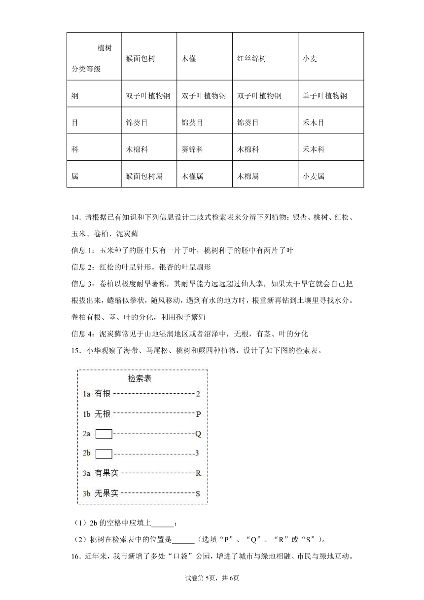 2.5常见的植物 过关练习（含解析）