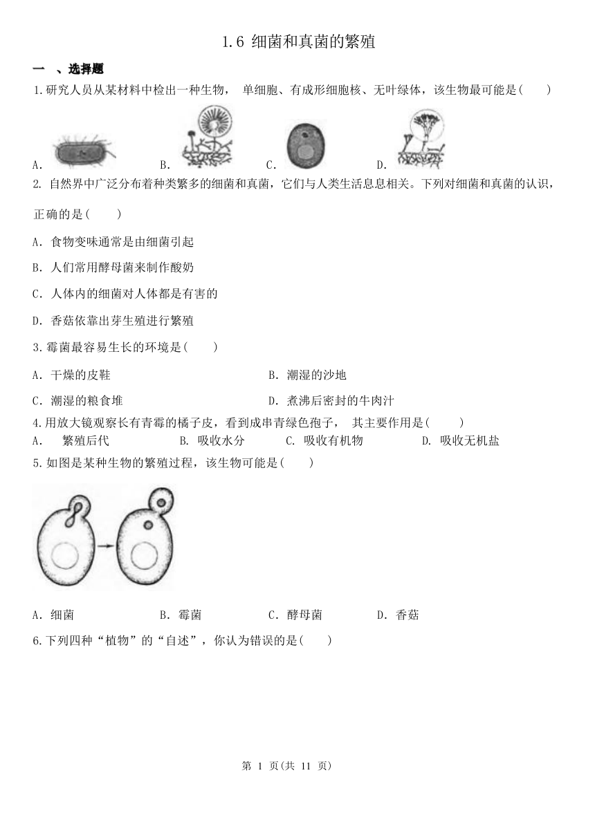 1.6 细菌和真菌的繁殖 同步练习（含答案）