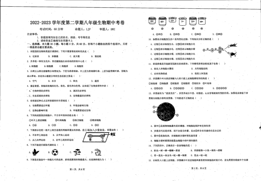 广东省湛江市经济技术开发区第四中学2022-2023学年八年级下学期中生物试卷（PDF版无答案）