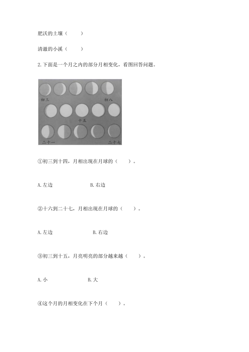 教科版（2017秋）2021-2022学年科学二年级上册 第一单元 我们的地球家园 单元测试卷（含答案）