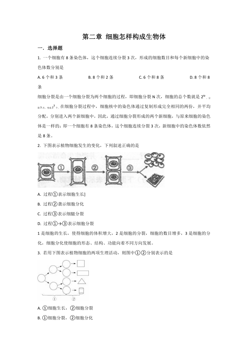 人教版七上生物第2单元第2章细胞怎样构成生物体单元试卷（含解析）