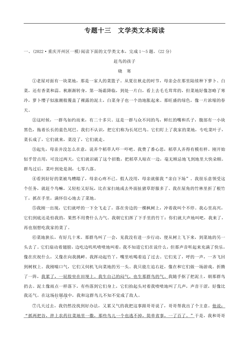 2023年重庆中考语文二轮专练 专题十三 文学类文本阅读（含答案）