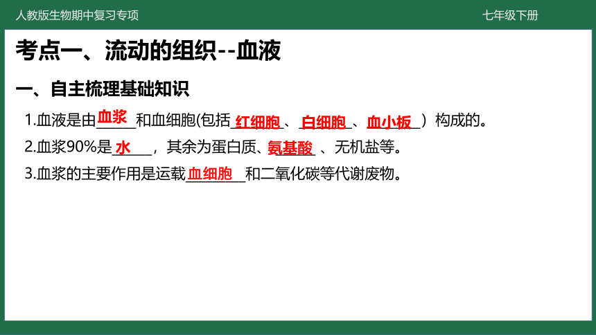 第四章 人体内物质的运输-七年级生物下学期期中考点大串讲（人教版）(共40张PPT)