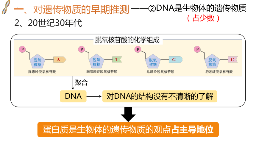 3.1DNA是主要的遗传物质-(共36张PPT)课件人教版（2019）必修2