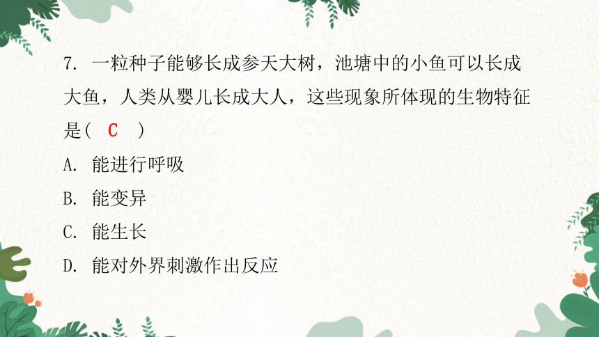 人教版生物七年级上册 第一单元生物和生物圈水平测试卷课件(共46张PPT)