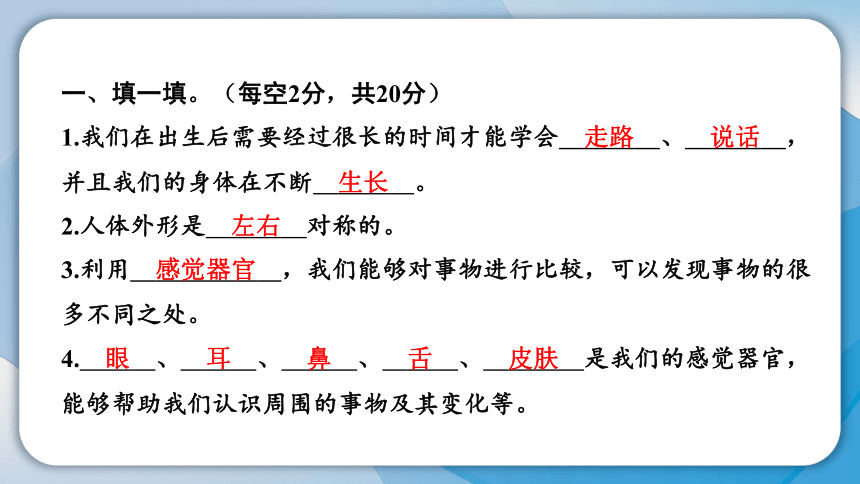 教科版(2017秋）二年级科学下册第二单元学习达标测试 课件(共13张PPT)