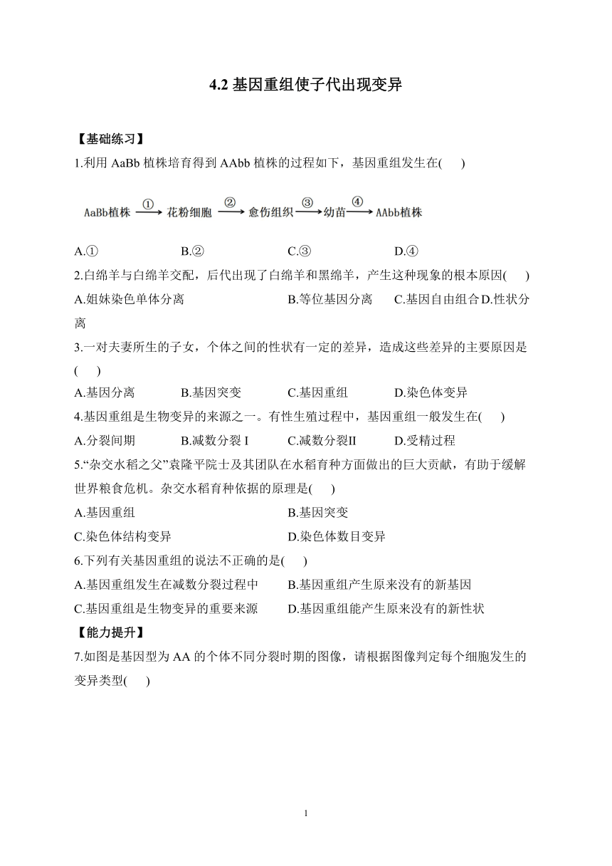 4.2基因重组使子代出现变异——2022-2023学年高一生物学浙科版（2019）必修二课时练习（有解析）