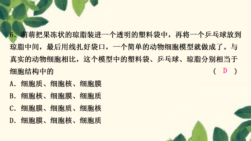 人教版生物七年级上册 期末复习专题(二)　第二单元生物体的结构层次 习题课件 (共22张PPT)