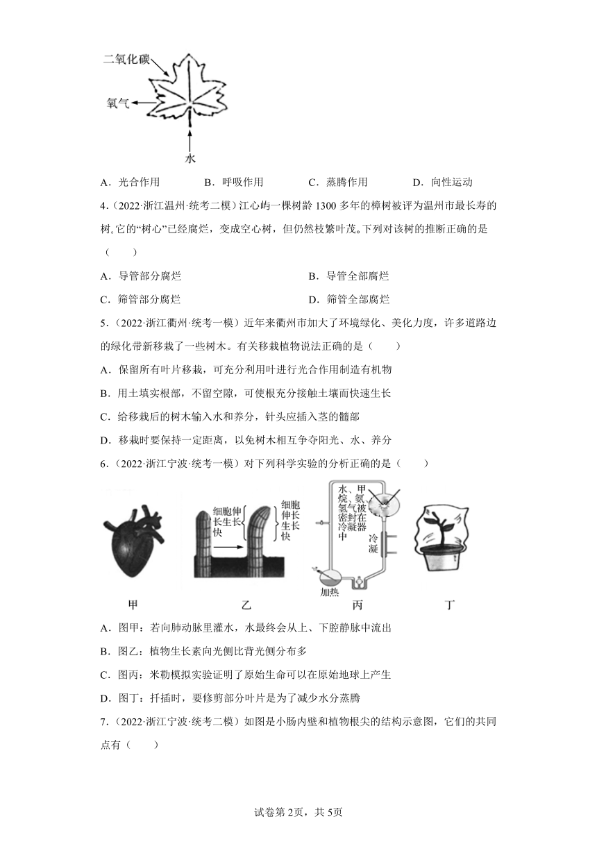 浙江省2022年中考科学模拟题汇编-08绿色植物的新陈代谢（选择题，含解析）