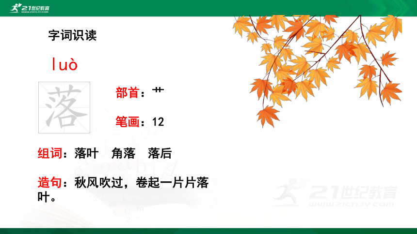 2.花的学校  课件（共43张PPT）