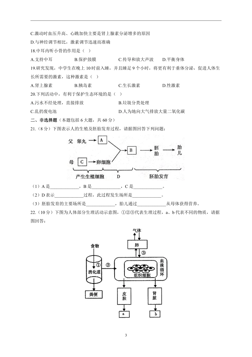 2022-2023学年人教版八年级上学期开学摸底考试生物试卷B卷(word版  含答案）