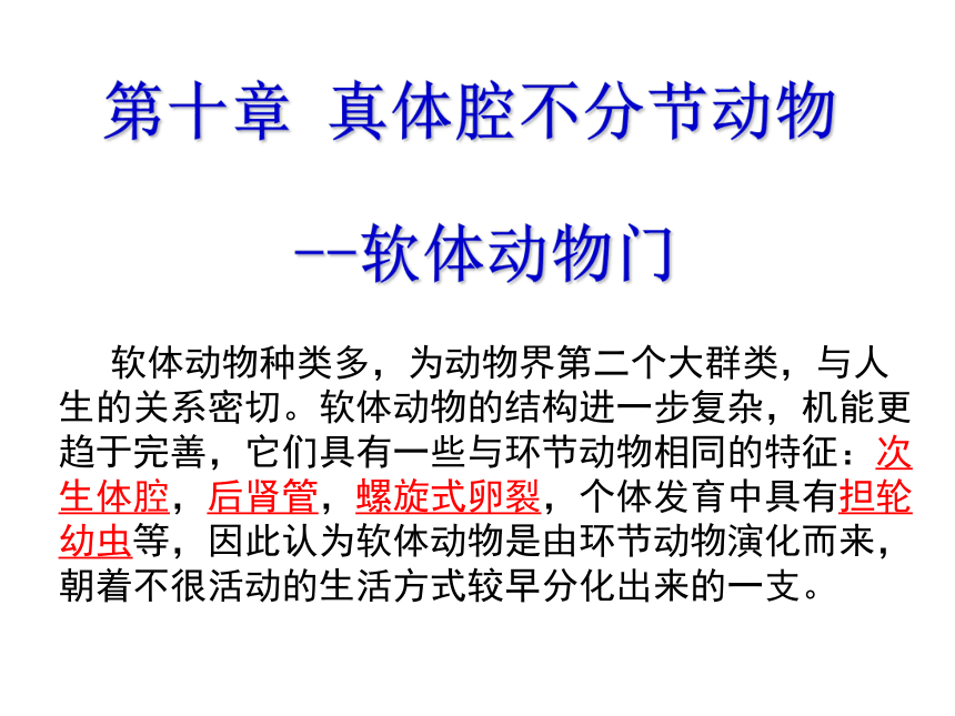 高中生物竞赛动物学教学课件第十章 真体腔不分节动物 -软体动物门（127张）