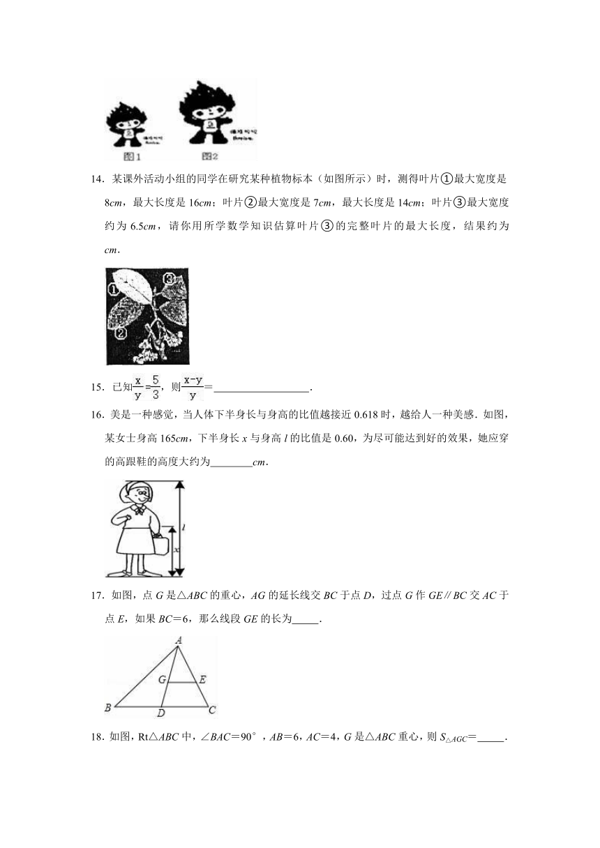 2021-2022学年沪教新版九年级上册数学《第24章 相似三角形》单元测试卷（word版含解析）