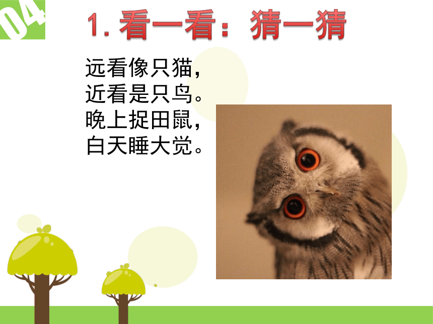 辽海版三年级下册美术 课件 第8课 动物朋友 (共11张PPT)
