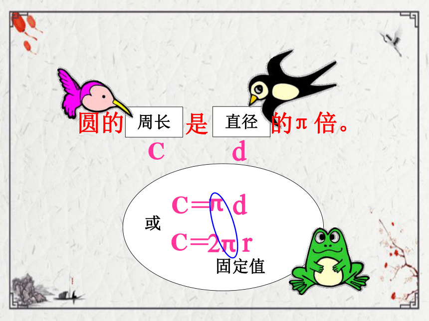 （2022秋季新教材）人教版 六年级数学上册5.8   整理和复习课件（共15页PPT)