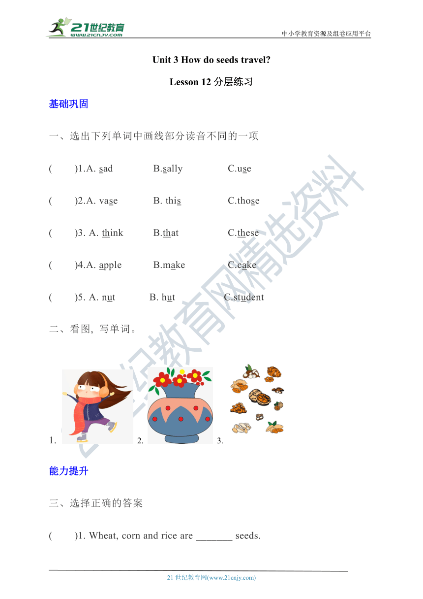 【新课标】 Unit 3 How do seeds travel？Lesson 12分层练习