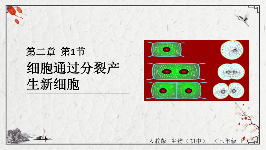 【学优课堂】初中生物人教版七年级上册 2.2.1细胞通过分裂产生新细胞课件（21张PPT)