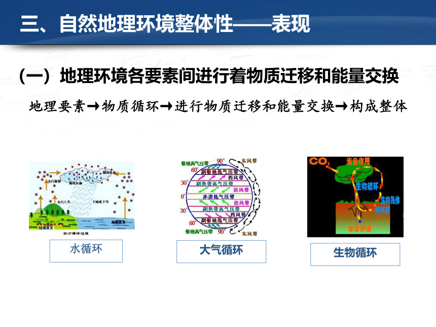 5.1自然地理环境的整体性（共17张PPT）