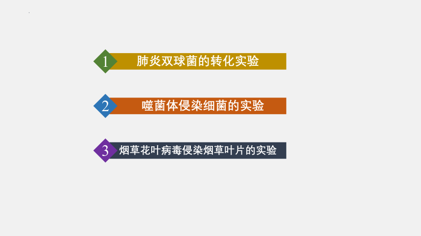 2021-2022学年高一生物浙科版（2019）必修2第三章第一节核酸是遗传物质（课件）（36张ppt）