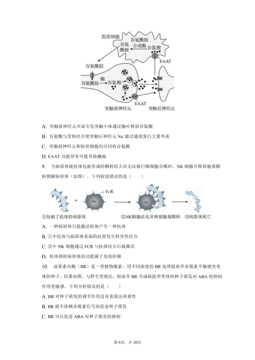 2022-2023学年北京市西城区高三（上）期末生物试卷（含解析）