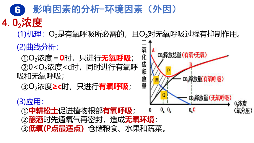 5.3细胞呼吸的原理和应用（第4课时）(共15张PPT)