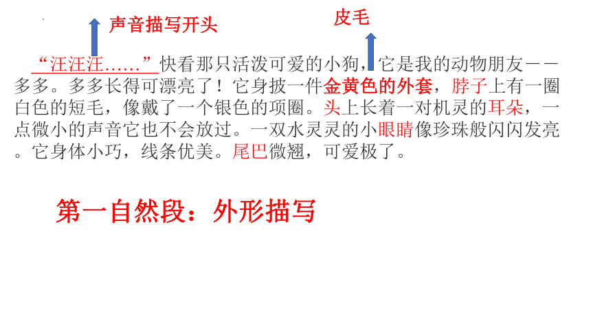 四年级下册语文第四单元 习作：《我的动物朋友》  课件(共27张PPT)