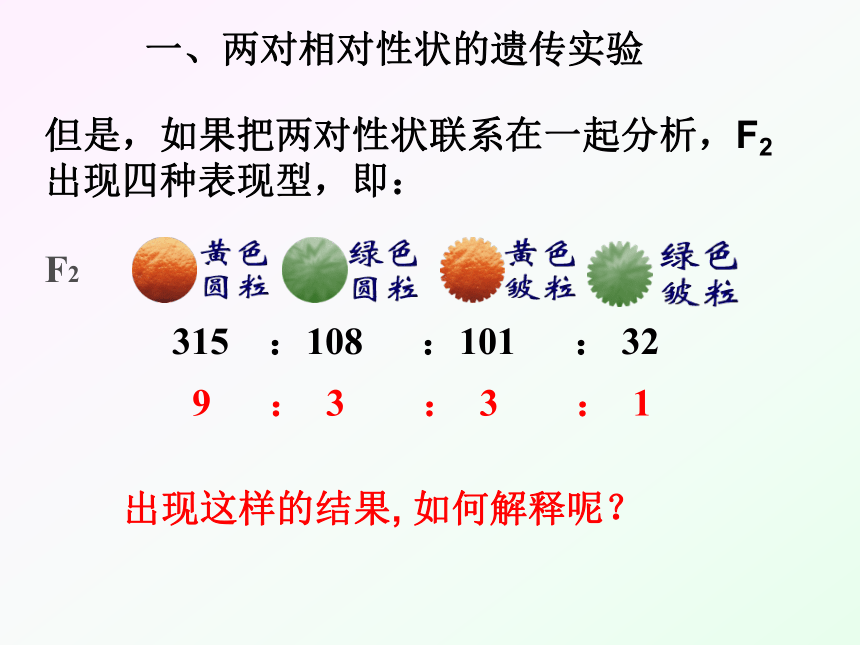 人教版高中生物必修二1.2-孟德尔的豌豆杂交实验(二)(31张PPT)