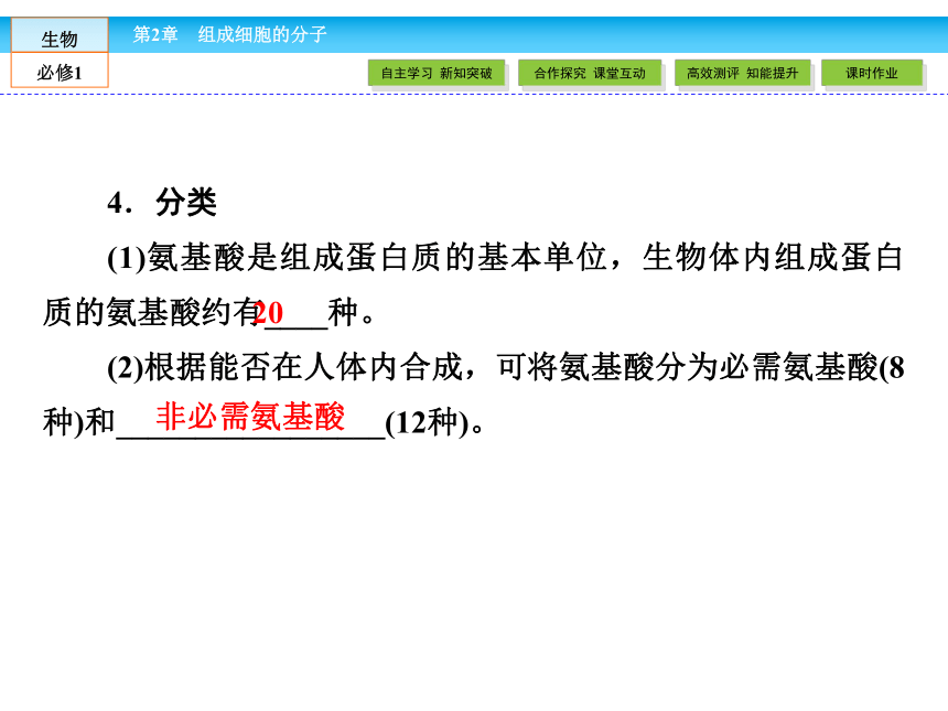 （人教版）高中生物必修一：2.2《生命活动的主要承担者——蛋白质》课件（共51 张PPT）