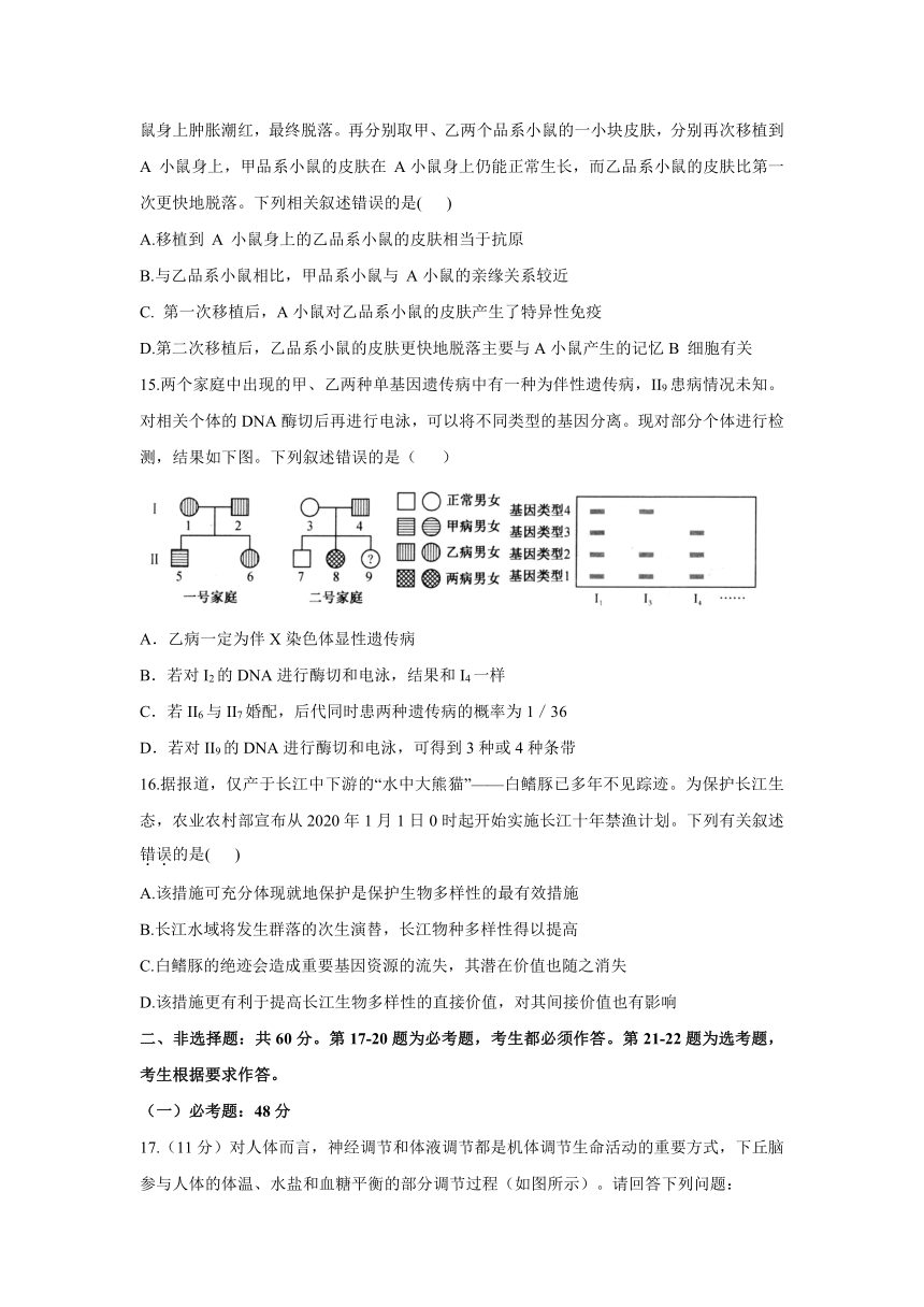 2021届高考生物终极押题卷 新高考版 （广东专版） Word版含解析