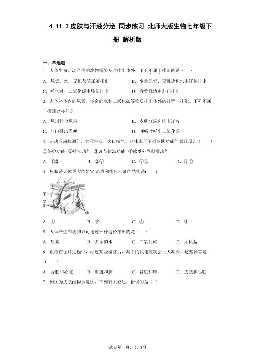 4.11.3皮肤与汗液分泌 同步练习 （含解析）北师大版生物七年级下册