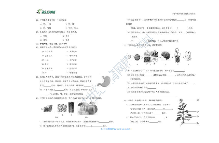 北师大版2020年秋季期七年级生物第二单元第四章检测题（含答案）