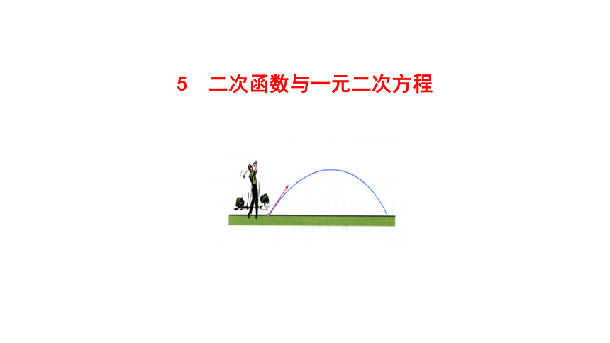 2021-2022 北师大版 数学 九年级下册 2.5  二次函数与一元二次方程 课件(共56张PPT)